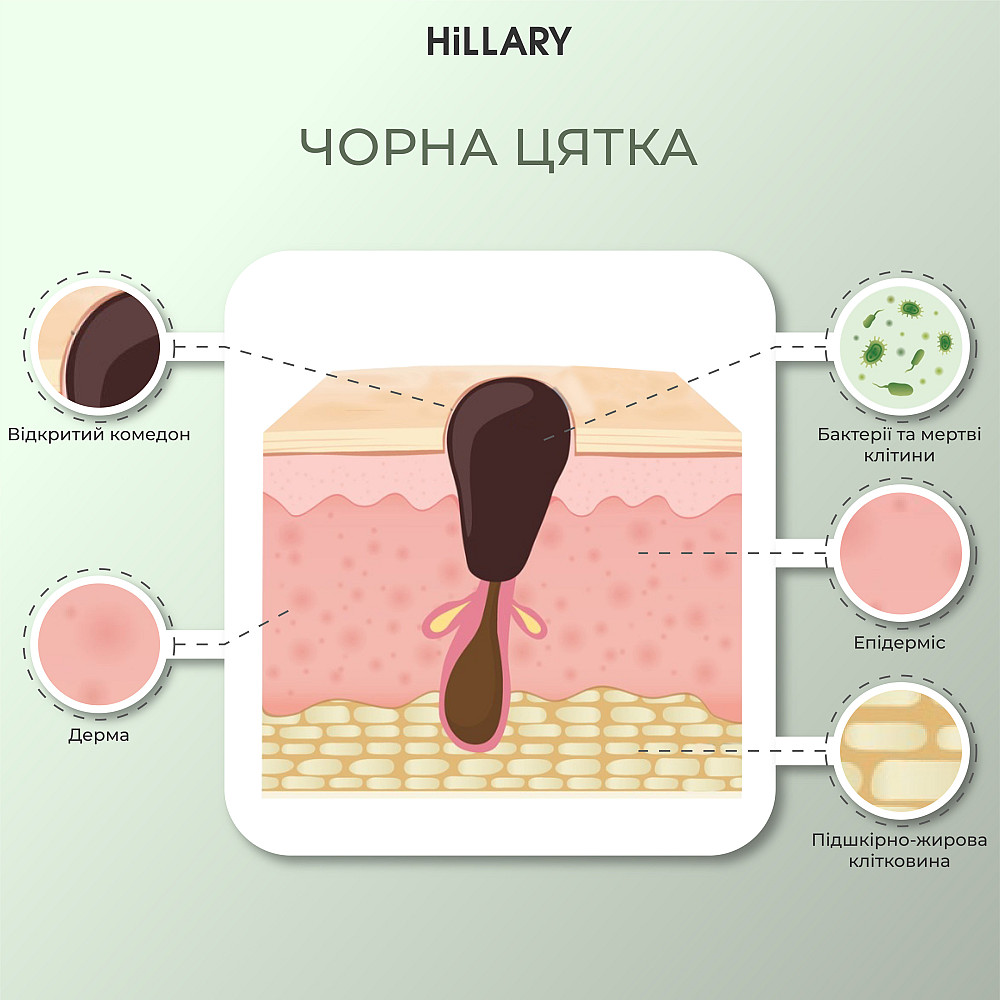 Набір для догляду за жирною та проблемною шкірою восени Autumn Oil Skin Care Hillary Київ - фото 11