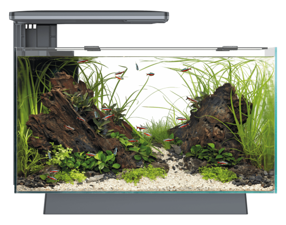 Акваріумний набір SuperFish Quadro 40 Pro Black (A4052205) Київ