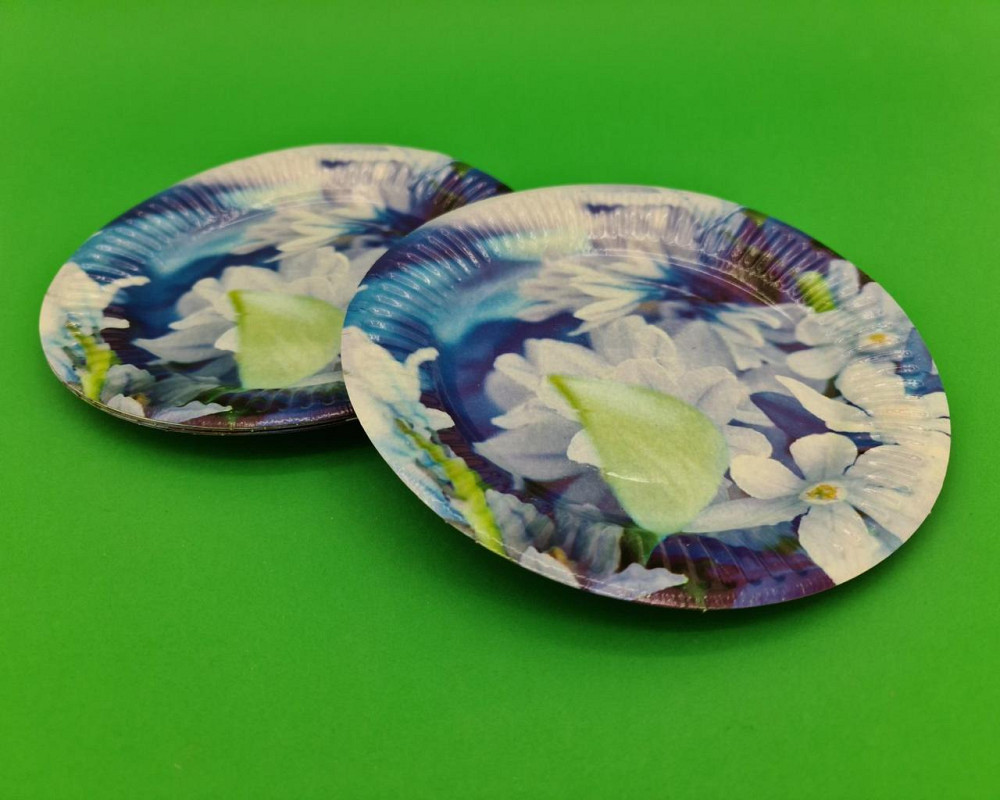 Паперова тарілка з малюнком 18 см "No 25" Весна" 10 шт (1 пачка) Харків - фото 1