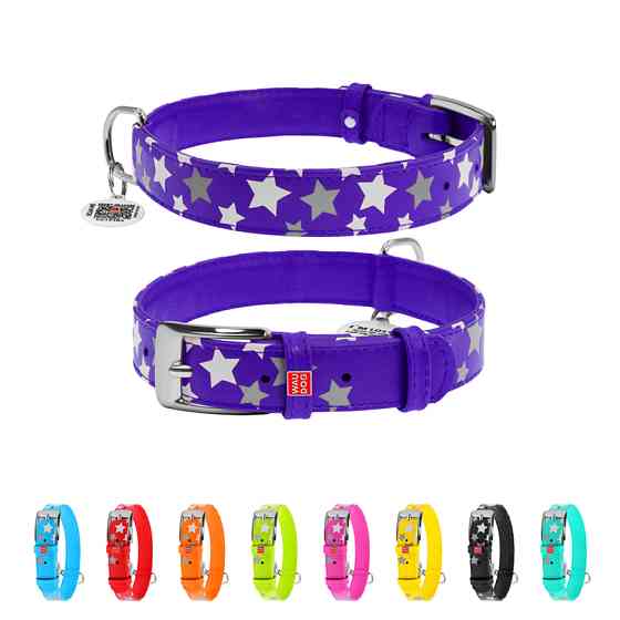 Нашийник для собак шкіряний WAUDOG Glamour з QR паспортом, візерунок "Зірочка", світлонакопичув Коломия