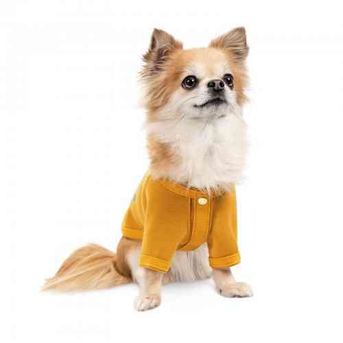 Кардиган Pet Fashion Denis для собак размер XS желтый Винница