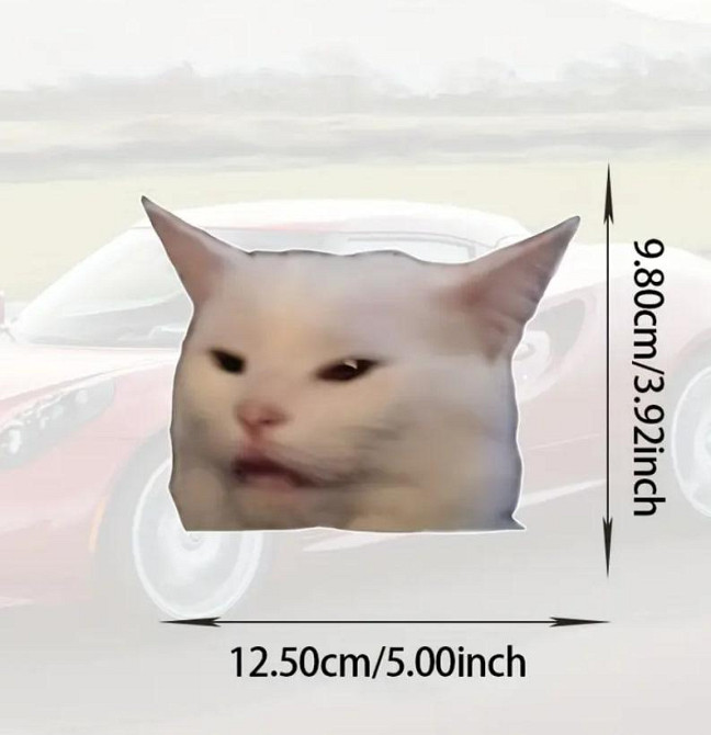 Водонепроницаемая наклейка с котом, стойкая виниловая наклейка для авто, мотоциклов, ноутбуков, стек Киев - изображение 4