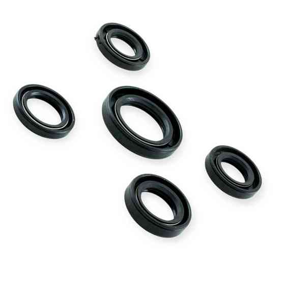 Набір скутер 4 т 50 (к-кт 5 шт) сальників Мукачево