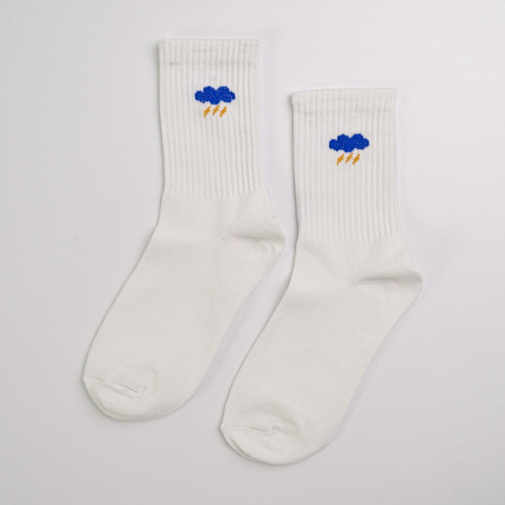 Набор носков хлопковых женских 10 пар Youstar 105 Средние 37-41 Разные цвета Сумы - изображение 11