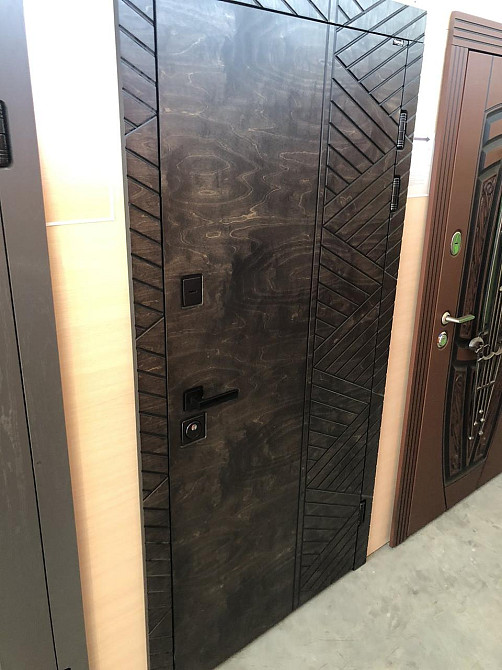 Двери уличные, ФАНЕРА,серия Премиум,  гнутый профиль, коробка 150 мм, полотно 105мм Киев - изображение 2