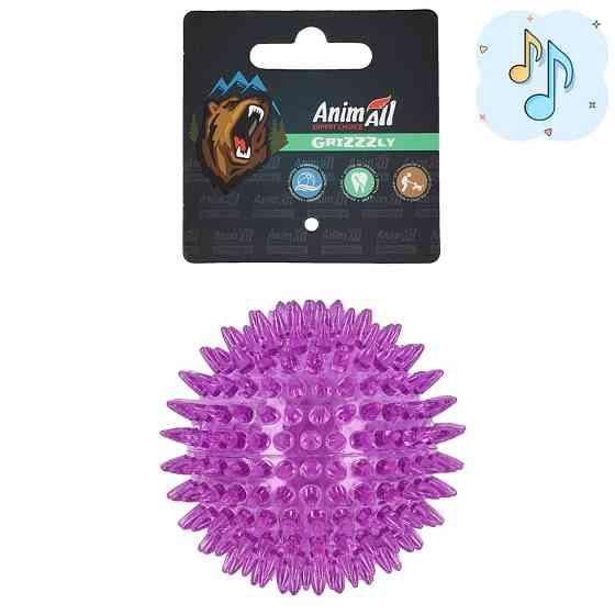 AnimAll GrizZzly АнимАлл Гризли Игрушка для собак Колючий мяч,8.4 см, феолетовая Киев