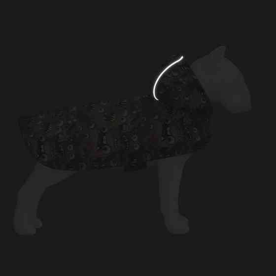 Дощовик-накидка з капюшоном для собак WAUDOG Clothes, малюнок "Зубасті монстри", M, А 40-43 см, B 52-62 см, С 33-42 см Київ