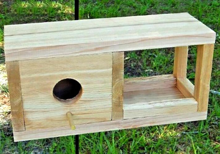 Кормушка со скворечником 