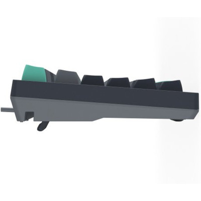 Клавіатура A4Tech FS300 FS Switches USB Panda Rock Climbin (4711422003086) Вінниця - фото 10