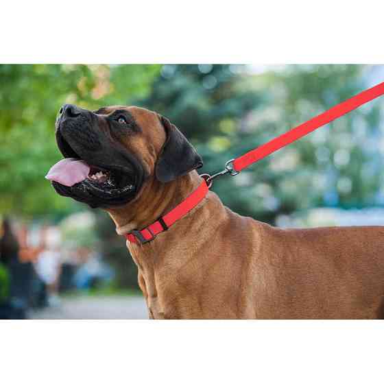 Повідець для собак водостійкий WAUDOG Waterproof, S, Ш 15 мм, Дов 122 см червоний Коломия