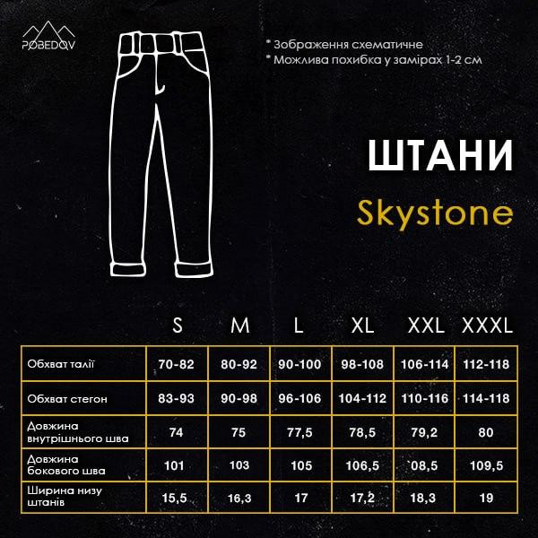 Мужские штаны карго Коттоновые Pobedov Skystone Брюки карго с карманами штаны весна-лето черные 2XL Одесса - изображение 10