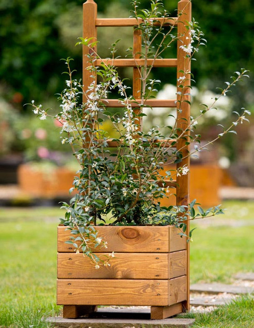 Кашпо зі шпалерою "Жемга" мускат Миколаїв - фото 1