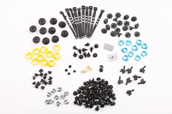 Клипсы 2170 Pegas (179 ед., полный к-т на авто) Винница