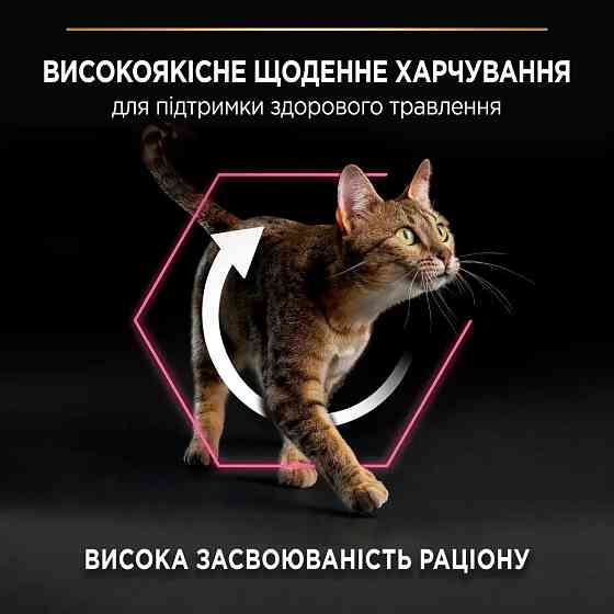 Сухой корм PRO PLAN Adult 1+ Delicate Digestion для взрослых кошек с чувствительным пищеварением и требовательных к еде, с ягненком, 1.5 кг Киев