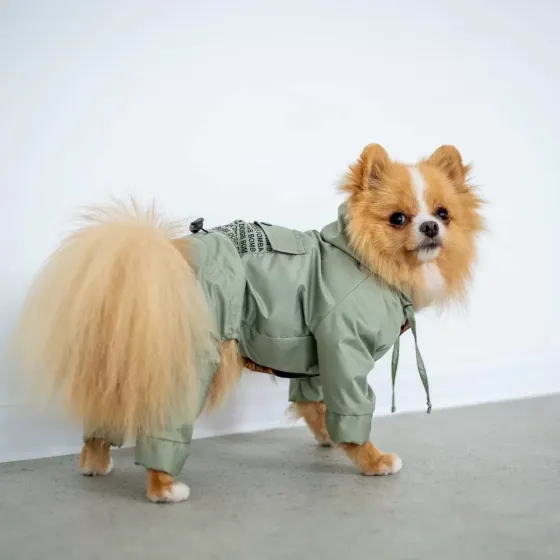 Дощовик для собак водовідштовхувальний комбінезон з капюшоном Dogs Bomba з кишенею текст оливка Одеса