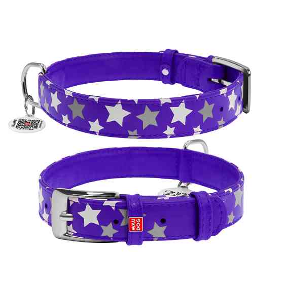 Нашийник для собак шкіряний WAUDOG Glamour з QR паспортом, візерунок "Зірочка", світлонакопичув Коломия