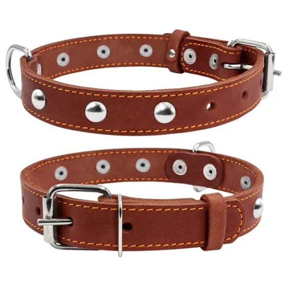 Ошейник CoLLaR одинарный с украшениями (ширина 25мм, длина 38-50см) коричневый Киев
