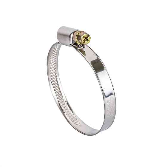 Хомут черв'ячний неіржавкий 9 мм D40-60 мм 10 шт SIGMA (2510111) Київ