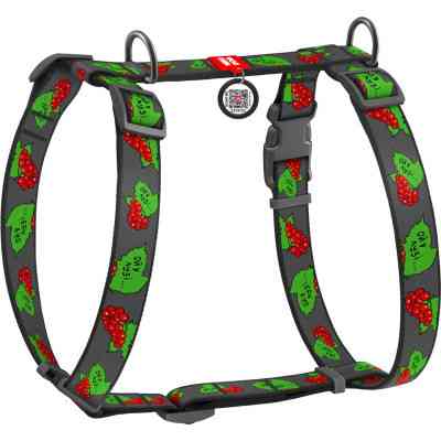 Шлея для собак WAUDOG Nylon з QR паспортом анатомічна H-подібна "Калина" L (5160-0228) Вінниця