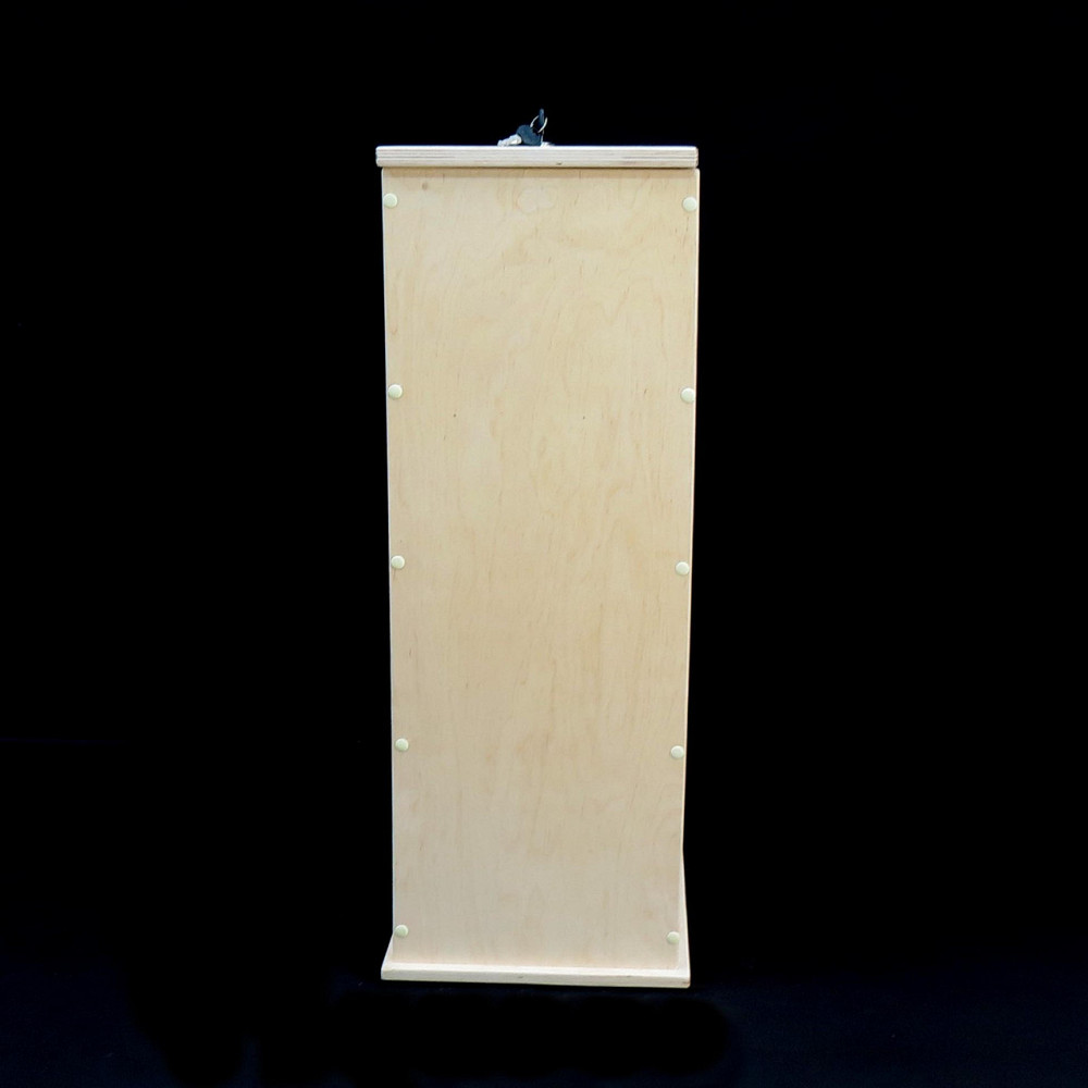 Виборча урна "Богра" бланже Миколаїв - фото 7