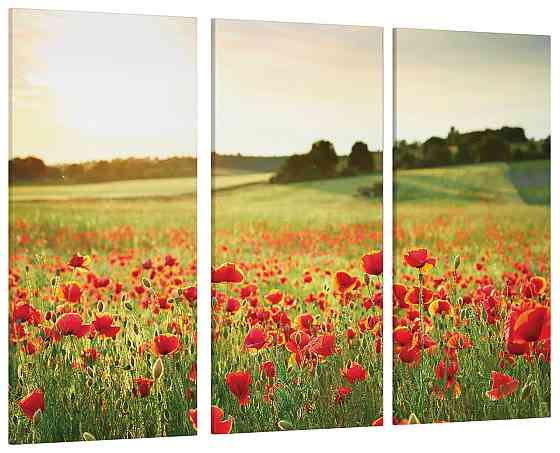 Модульна картина Природа Поле Art-187_XXL Київ