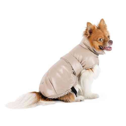 Попона Pet Fashion Mikki для собак бежева S Киев