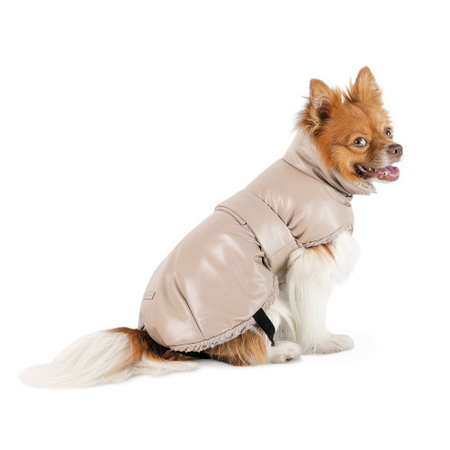 Попона Pet Fashion Mikki для собак бежева S Киев - изображение 2