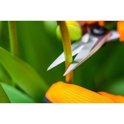 Ножиці садові Neo Tools 18.5мм, 115г (15-215) Вінниця - фото 10