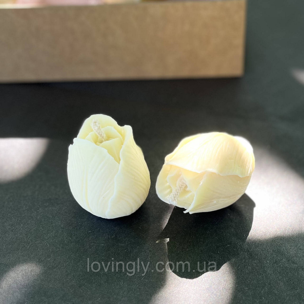 Подарунковий набір весняний у дерев'яній коробці Серце - керамічна пташка , свічки-тюльпани, ручна робот Ірпінь - фото 6