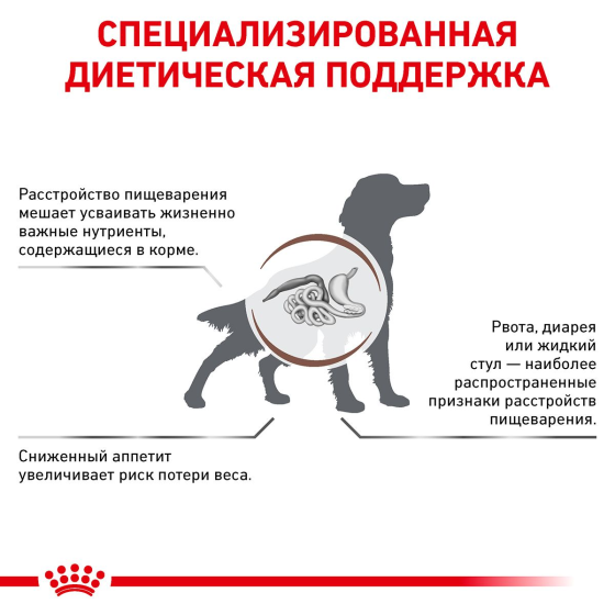 Royal Canin Gastrointestinal (Рояв Канін Гастро-Інтестиал) сухий корм для собак при розладах травлення 2 кг. Запоріжжя