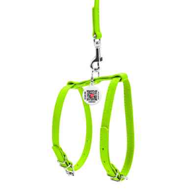 Шлея для собак WAUDOG Glamour з повідцем шкіряна Ш 9 мм А 20-30 см В 30-40 см салатова (33995) Вінниця
