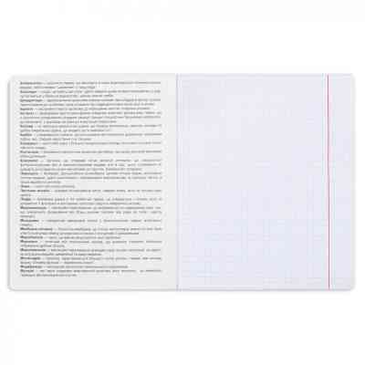 Зошит Yes предметний БІОЛОГІЯ Anime 48 аркушів, клітинка (767444) Вінниця