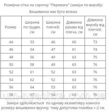 Чоловіча вишиванка хакі Перемога Кривий Ріг