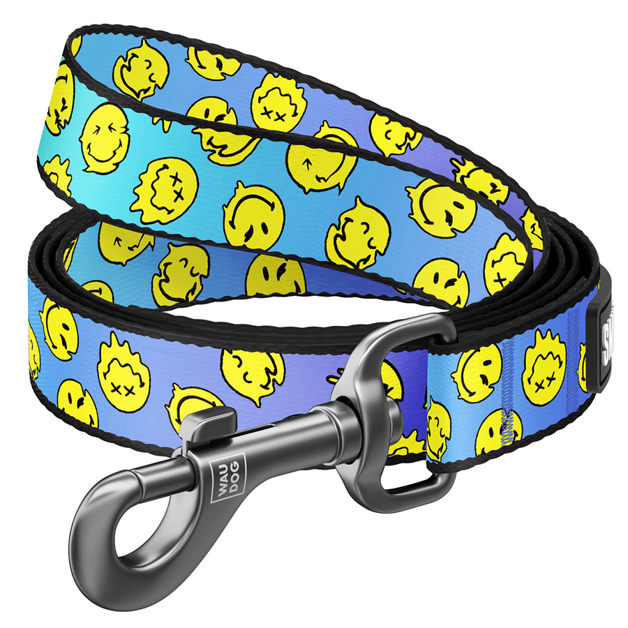 Повідець для собак нейлоновий WAUDOG Nylon, малюнок "Смайли на блакитному", М, Ш 20 мм, Дл 122 Коломыя - изображение 1