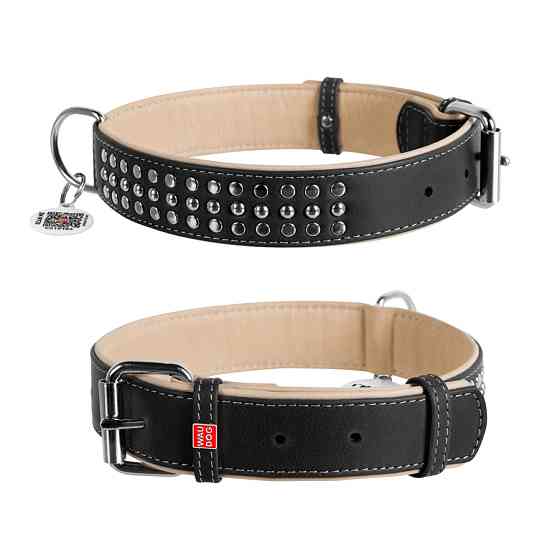Нашийник для собак шкіряний WAUDOG Soft з QR паспортом, металічні прикраси, Ш 35 мм, Дов 46-60 Коломыя