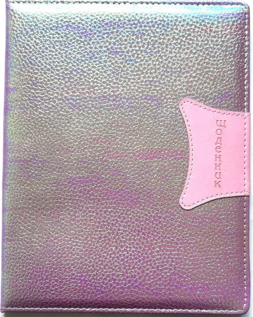 Щоденник шкільний "Мандарин" 167*211 мм, 48 арк. обкладинка шкірзам, SD1415, шт Київ - фото 1