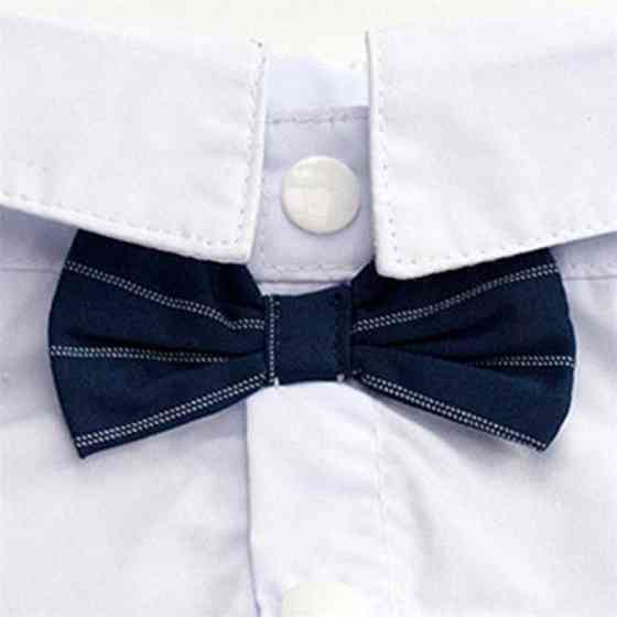 Фрак для собак/котів M Луцк