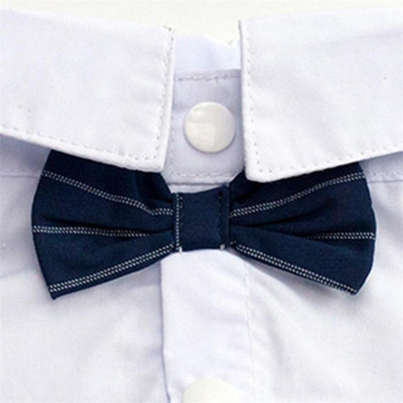 Фрак для собак/котів M Луцк - изображение 5