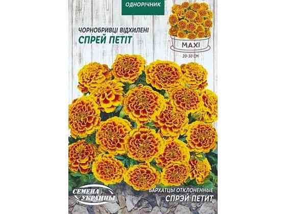 Макси Чернобривицы отклонение. СПРЕЙ ПЕТИТ 5г (10 пачек) ТМ НАСИКА УКРАИНЫ Киев