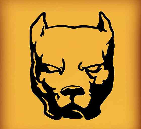 Вінілова наклейка на авто та будь яку поверхню в індивідуальних розмірах  — Pit Bul Чернівці