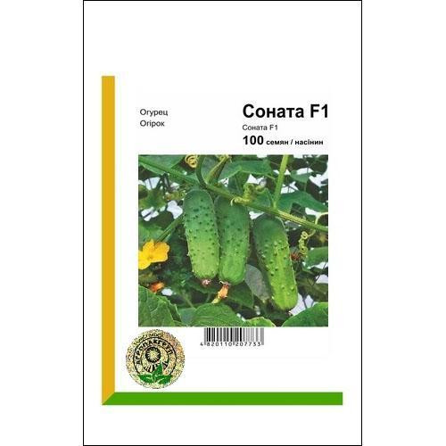 Семена огурца Соната F1 100 сем., Rijk Zwaan, Голландия Винница - изображение 1