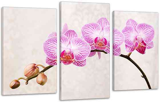 Модульна картина Квіти Орхідея Art-138_3 Київ