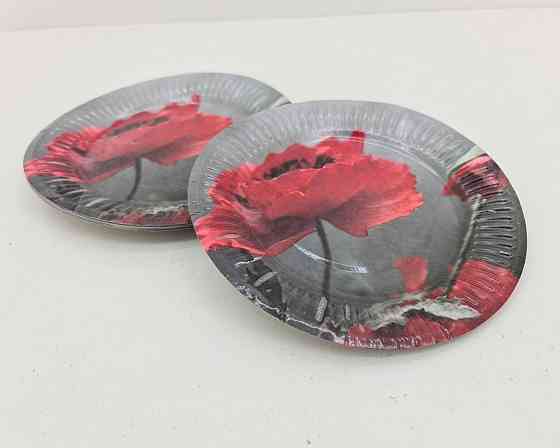 Бумажная тарелка с рисунком  18см