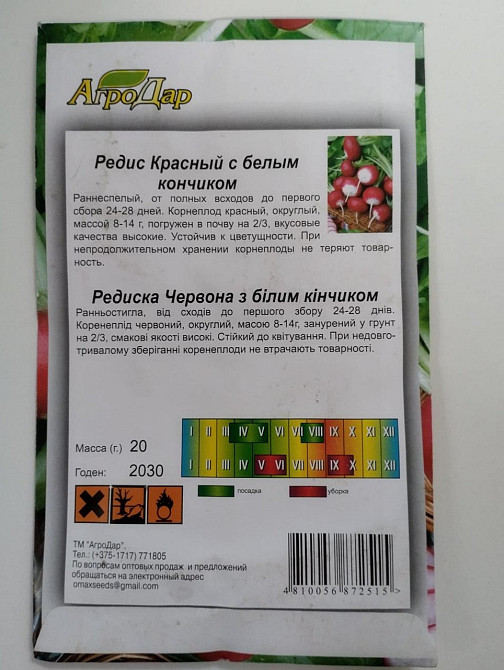 Редис  