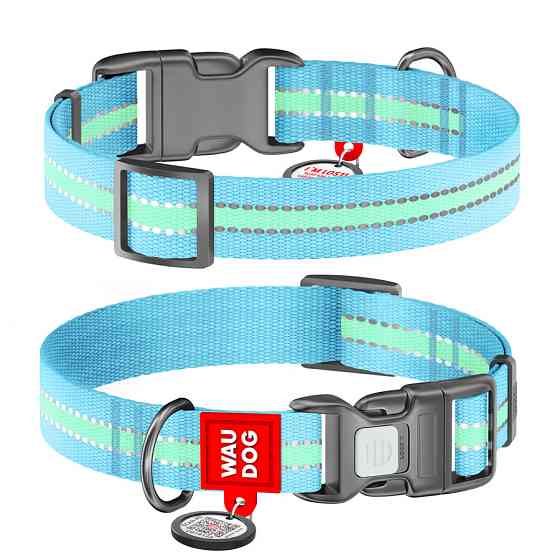 Нашийник для собак нейлоновий WAUDOG Nylon з QR паспортом, світлонакопичувальний/світловідбивний, пластиковий фастекс, Ш 25 мм, Київ