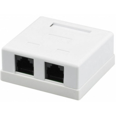 Комп&apos;ютерна розетка RJ45x2 UTP cat.5e Kingda (KD-WP6035-C5e) Вінниця - фото 1