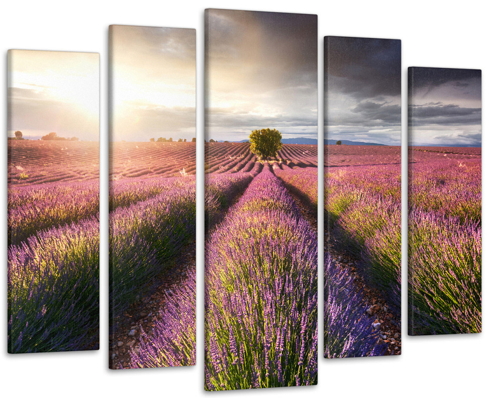 Модульна картина Природа Лаванда Art-350_5 ( 80х118см ) Київ - фото 1