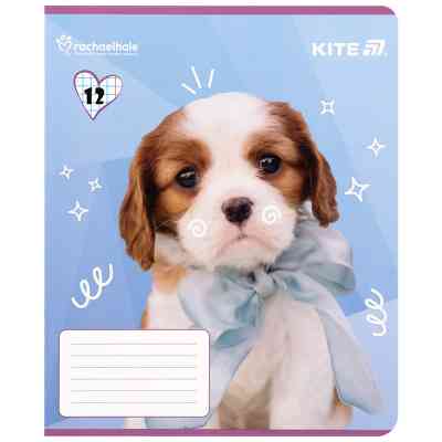Тетрадь Kite Rachael Hale, 12 листов, клетка (R25-232) Винница