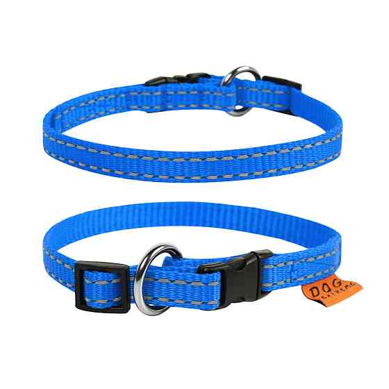 Нашийник "Dog Extreme" з нейлону регульований (ширина 10мм, довжина 20-30см) блакитний Київ