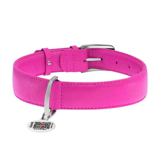 Нашийник для собак шкіряний WAUDOG Glamour з QR паспортом, без прикрас, XL, Ш 35 мм, Дов 46-60 Коломия